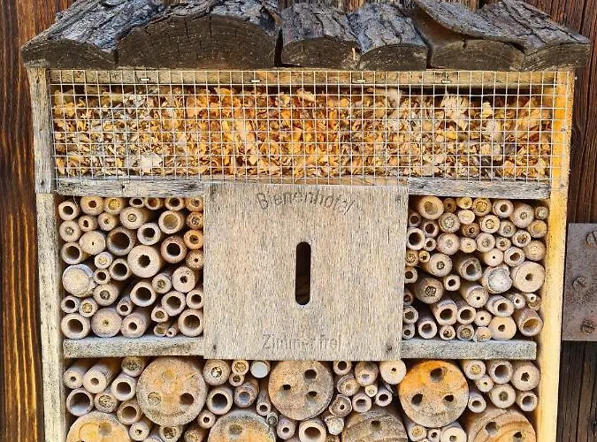 בית הארחה Gorenka