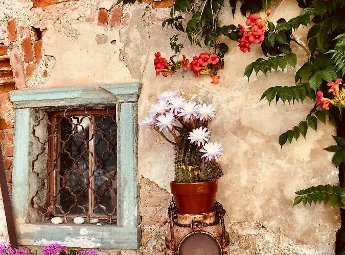 בית הארחה Gorenka בלד